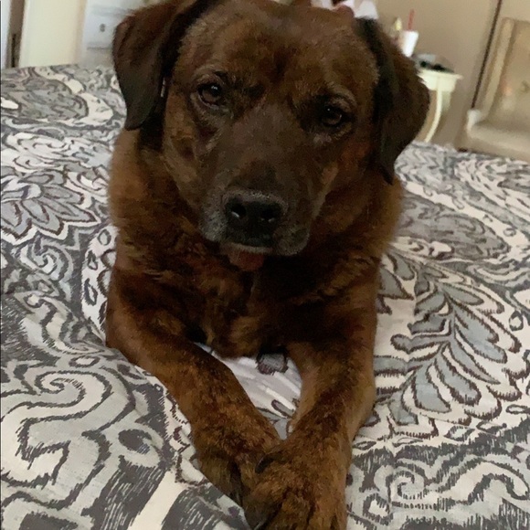 Meet your Posher, Michelle - Picture 1 of 4